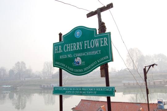 Houseboat Cherry Flower, Srinagar 3